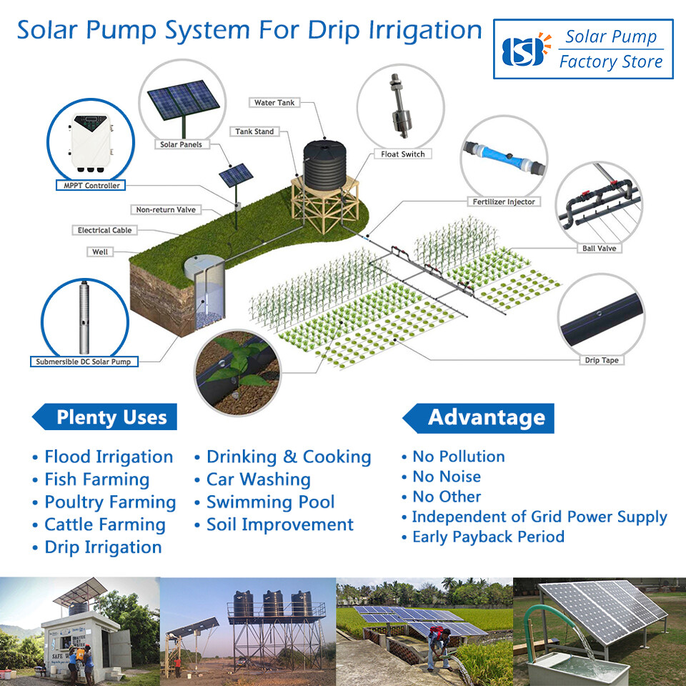 3" AC/DC Solar Powered Bore Well Water Pump 1HP Submersible Hybrid Deep 110/220V