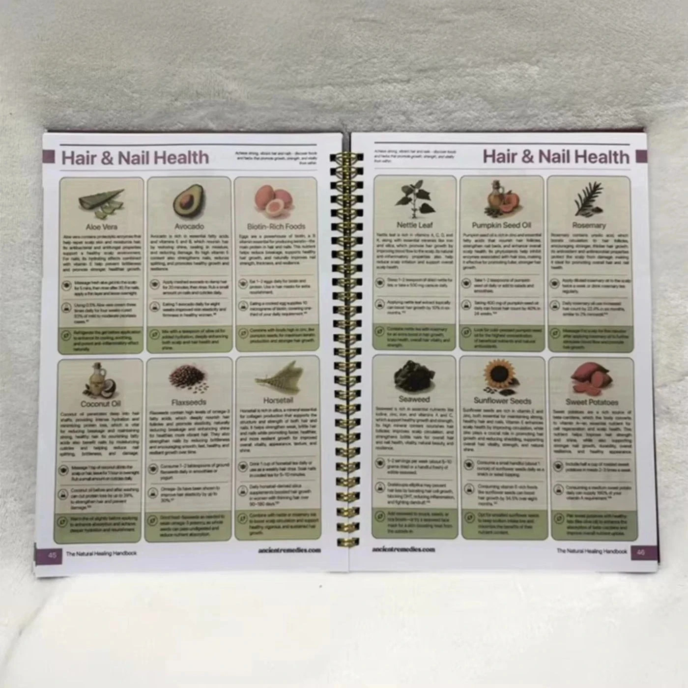 The Natural Healing Handbook, Spiral-Bound Guide For Herbal Remedies And Natural