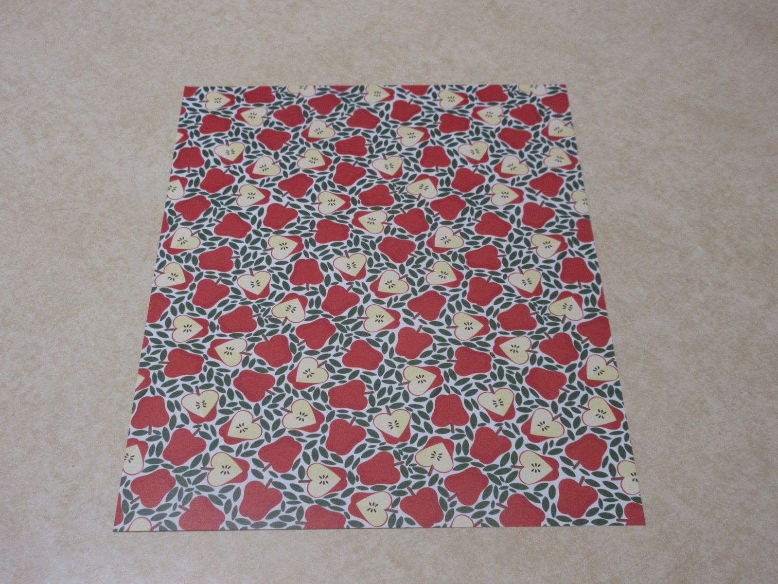 8.5" x 11" PARK LANE PAPER - ASSORTED SCHOOL PRINTS #2 - 10 SHEETS