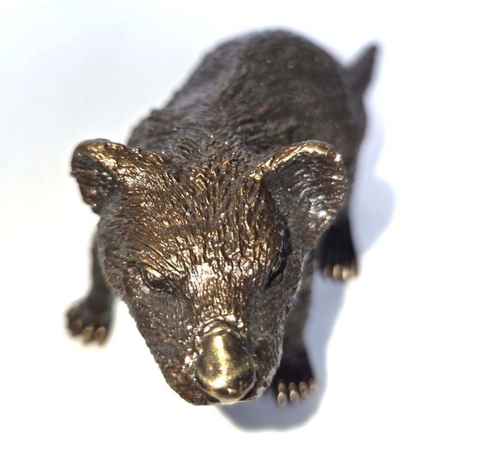 Eddie Wentorf Bronze Tasmanian Devil Sculpture Signed Art