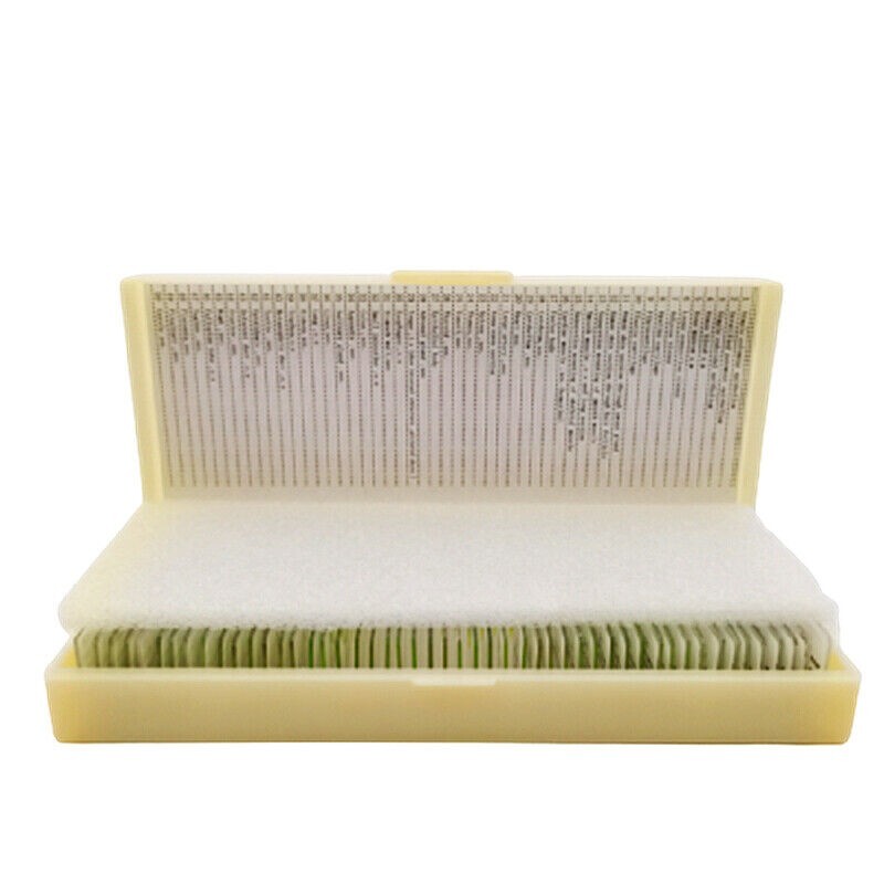 50PCS New Mammal Tissue Sections Histology Prepared Specimen Microscope Slides