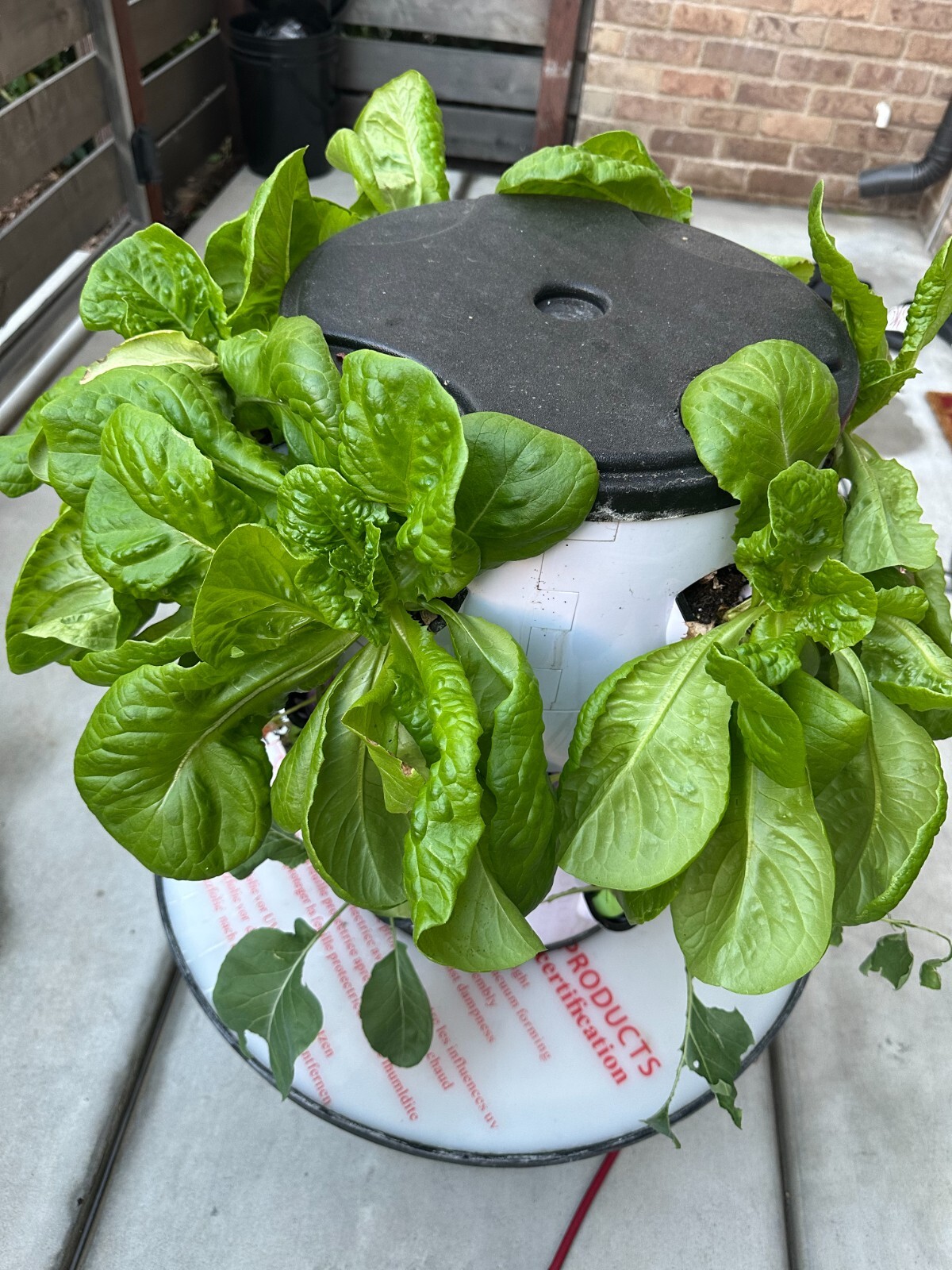 hydroponic vertical tower growing system-2025