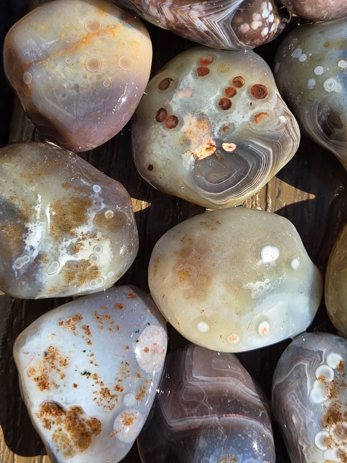Botswana Agate Selects - DOTS AND SPOTS - Rough, Natural, Not Polished A+ Grade
