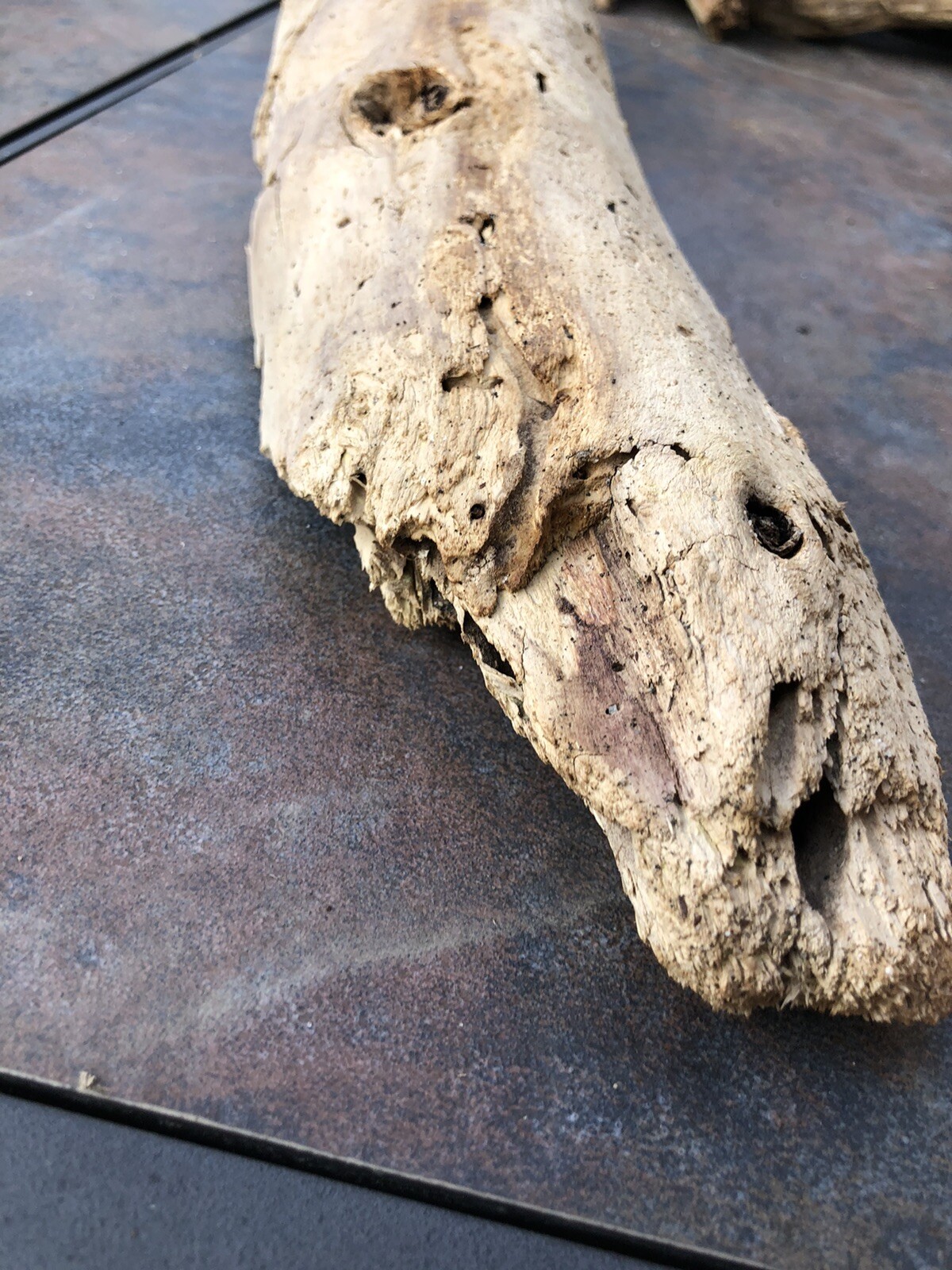 Natural Driftwood for Plants Terrarium Taxidermy Art Projects