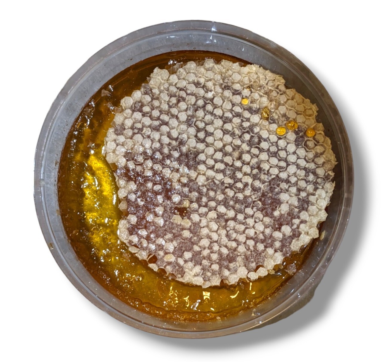 HONEYCOMB HONEY 17.6oz 500g 100% PURE UNFILTERED HONEY COMB DELICIOUS