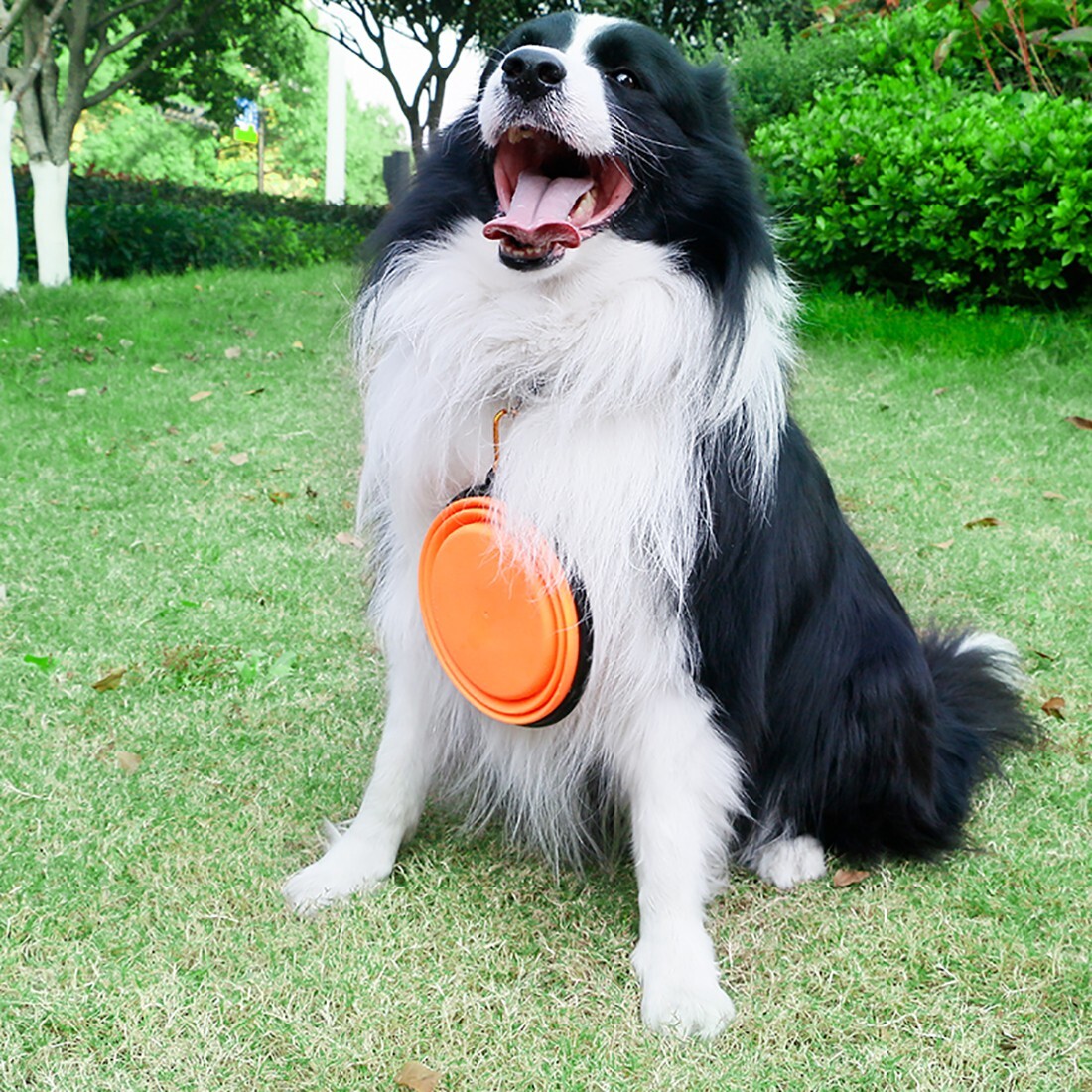 Ezprogear 2 Pack 64 oz Stainless Steel Double Wall Dog Bowl Non-Slip Bottom