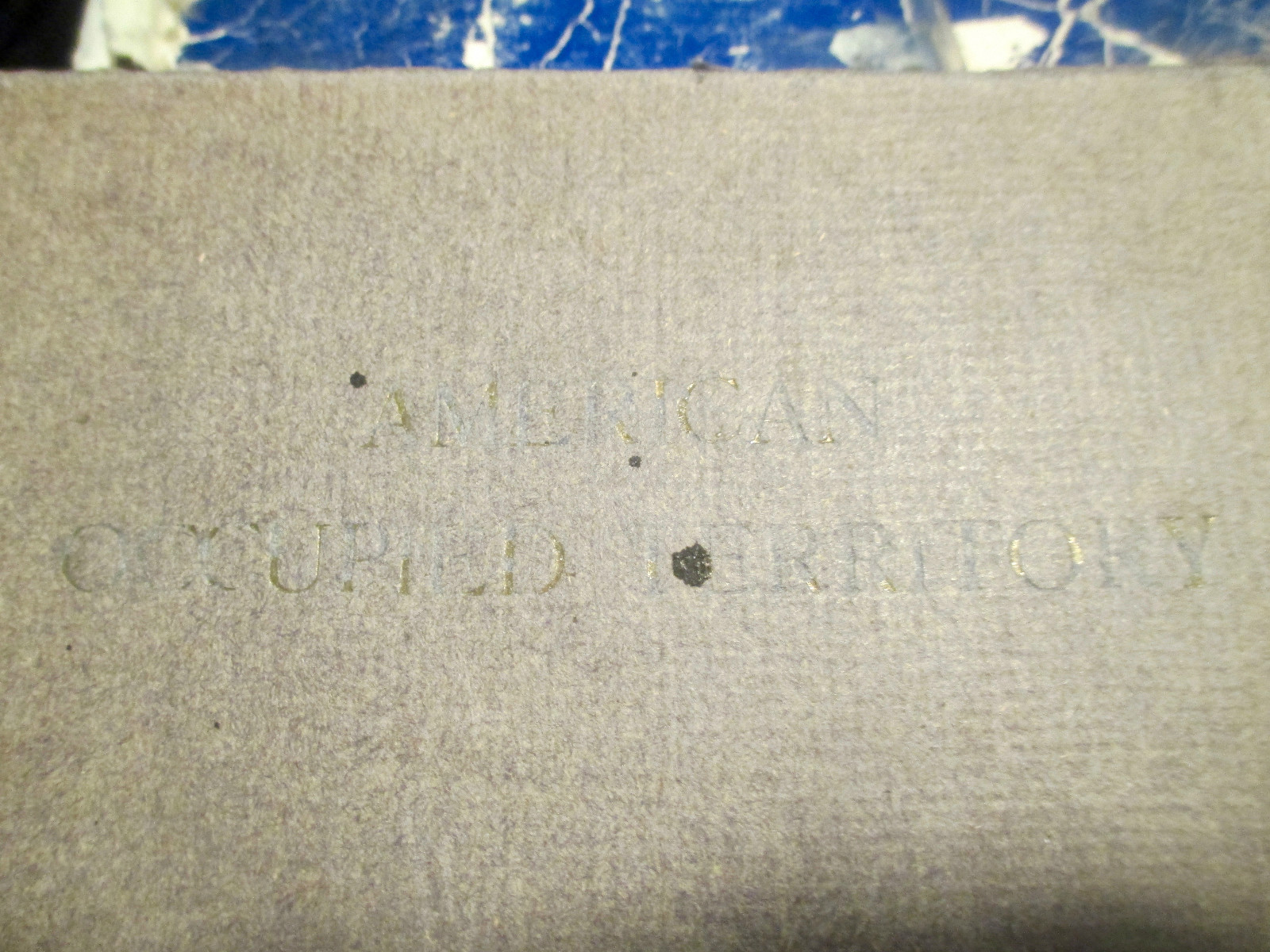 1919 "OCCUPIED GERMANY" ART PHOTOGRAPH SCENIC BOOK WORLD WAR I SOUVENIR WWI