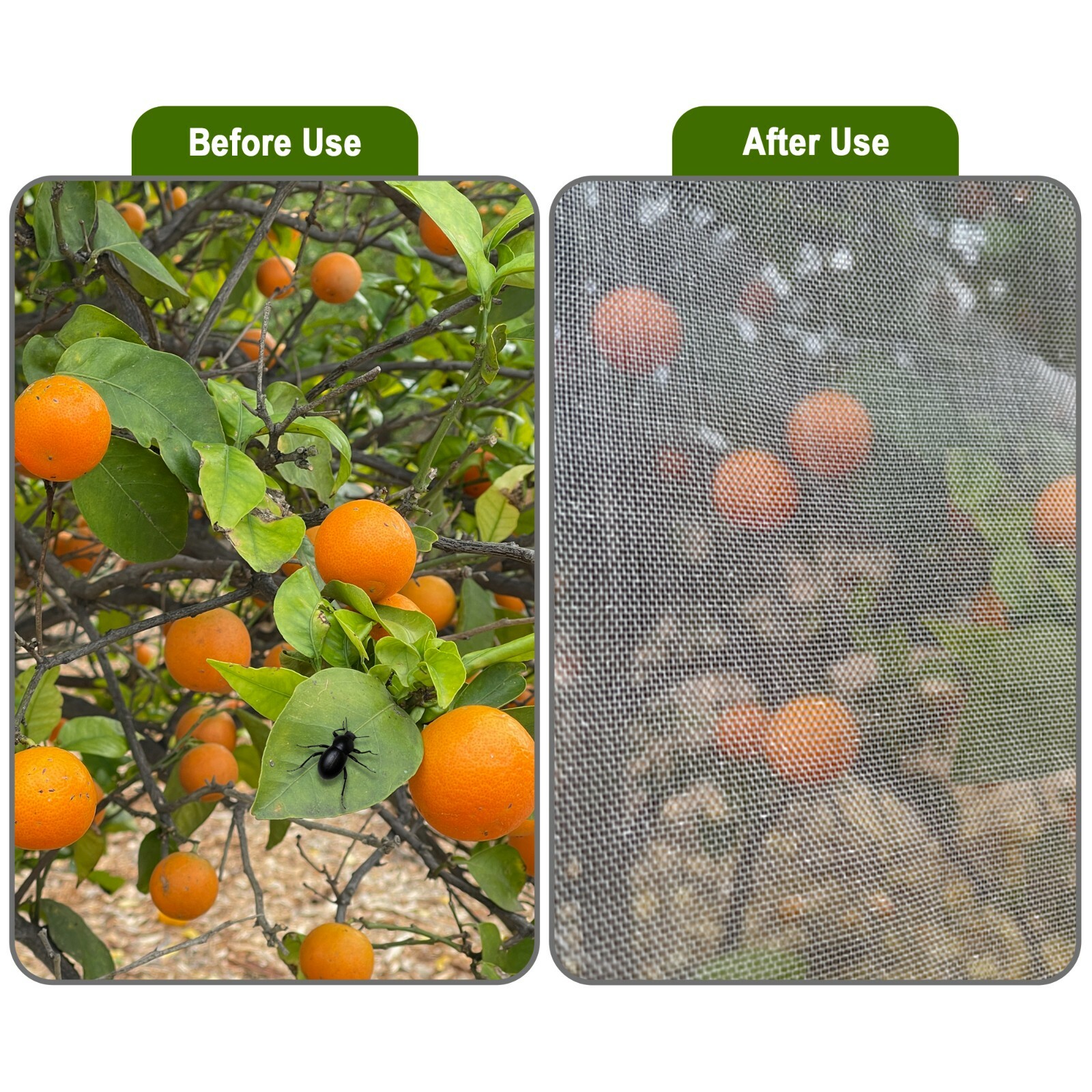 Bird Bug Net Mosquito Net Fine Mesh Screen Fruit Vegetable Citrus Pond/Leaf Net