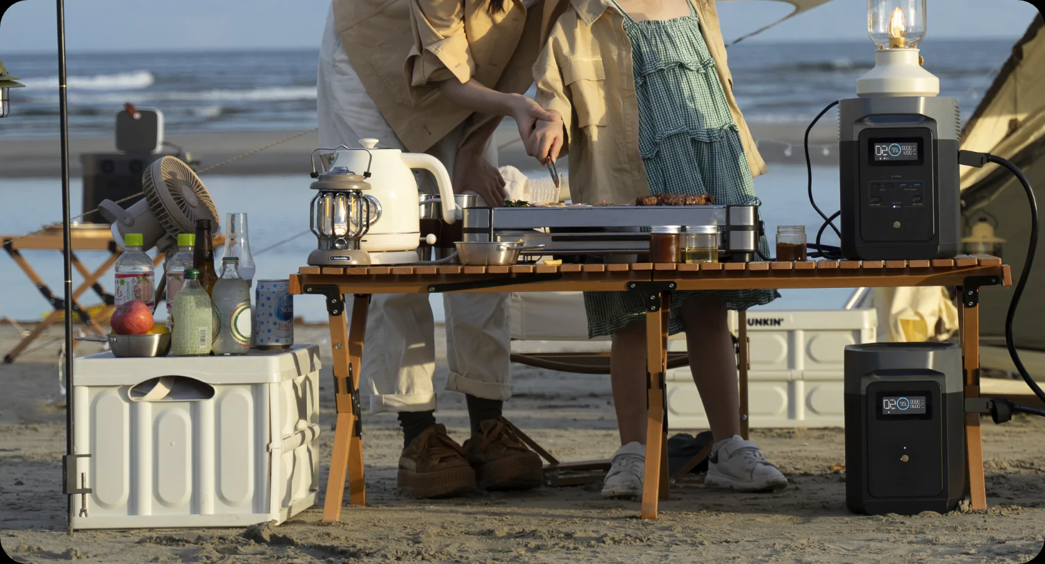 EcoFlow DELTA 2 Smart Generator Extra Battery 1024Wh for Outdoor, RV, LiFePO4