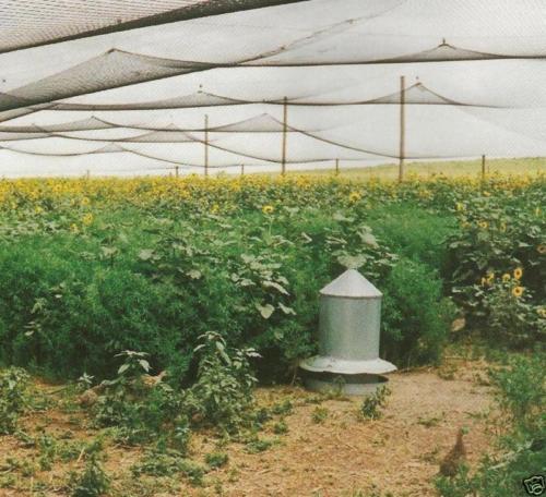 Netting Poultry Anti Bird Aviary Fruit Garden Protection Nets Long Lasting!