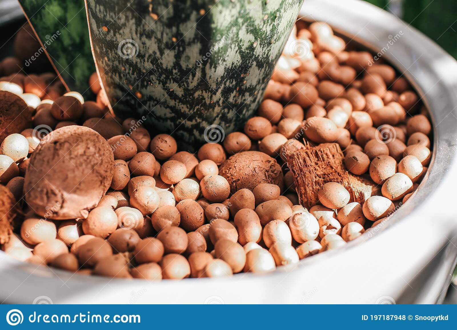 Clay Pebbles HYDROTON Growing Media Expanded Clay Rocks for Hydroponic systems