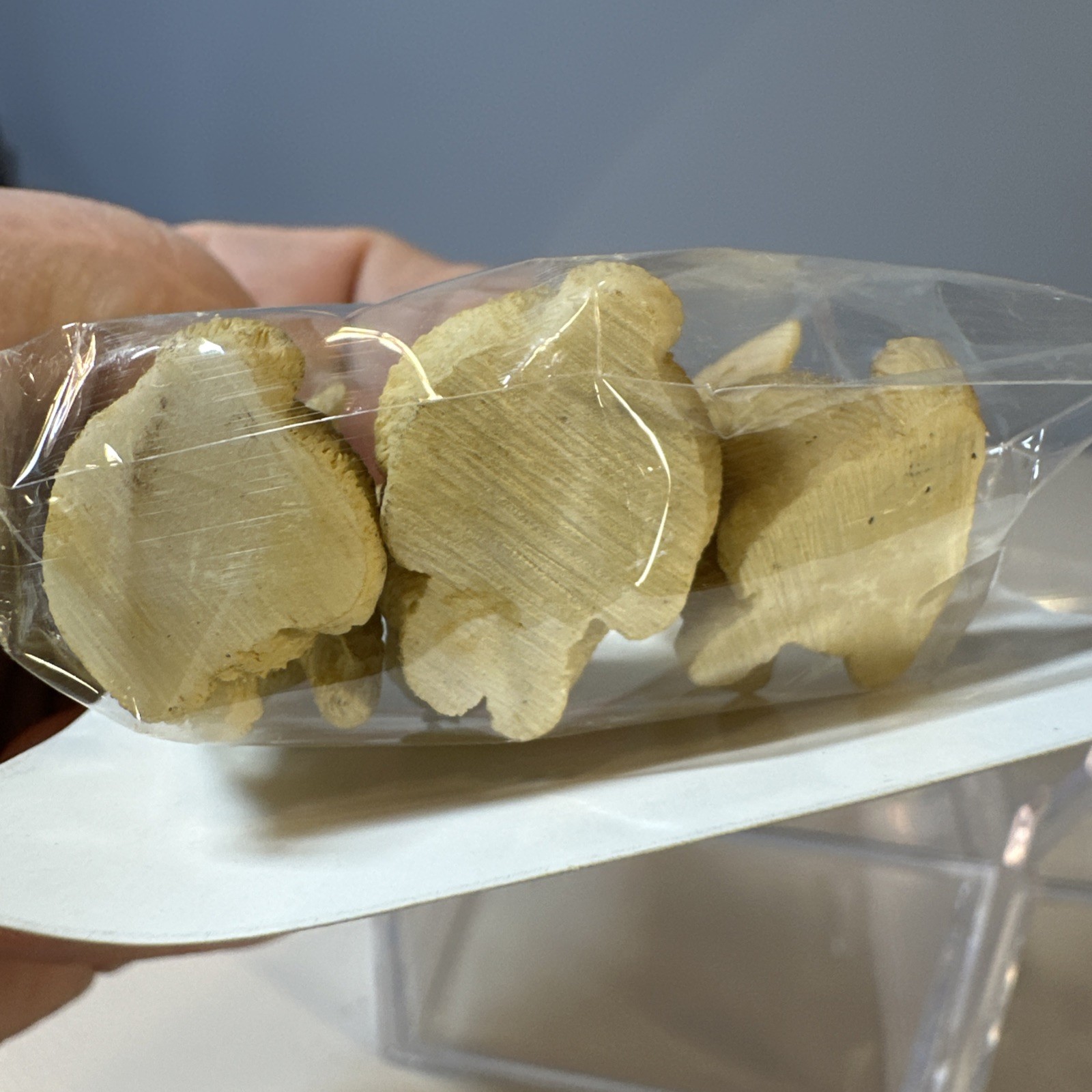 6 Resin Mini Rabbits by Darice 2014 New Sealed Light Brown