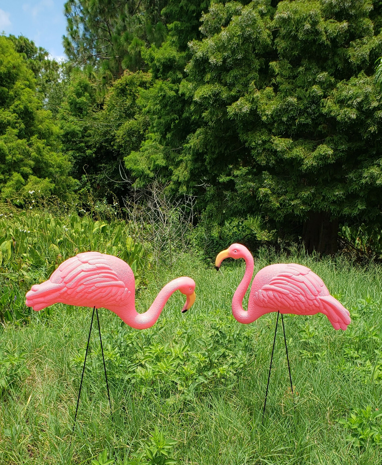 Large Pink Flamingo Yard Ornaments (Pack of 2 Different Designs) Tall. Great