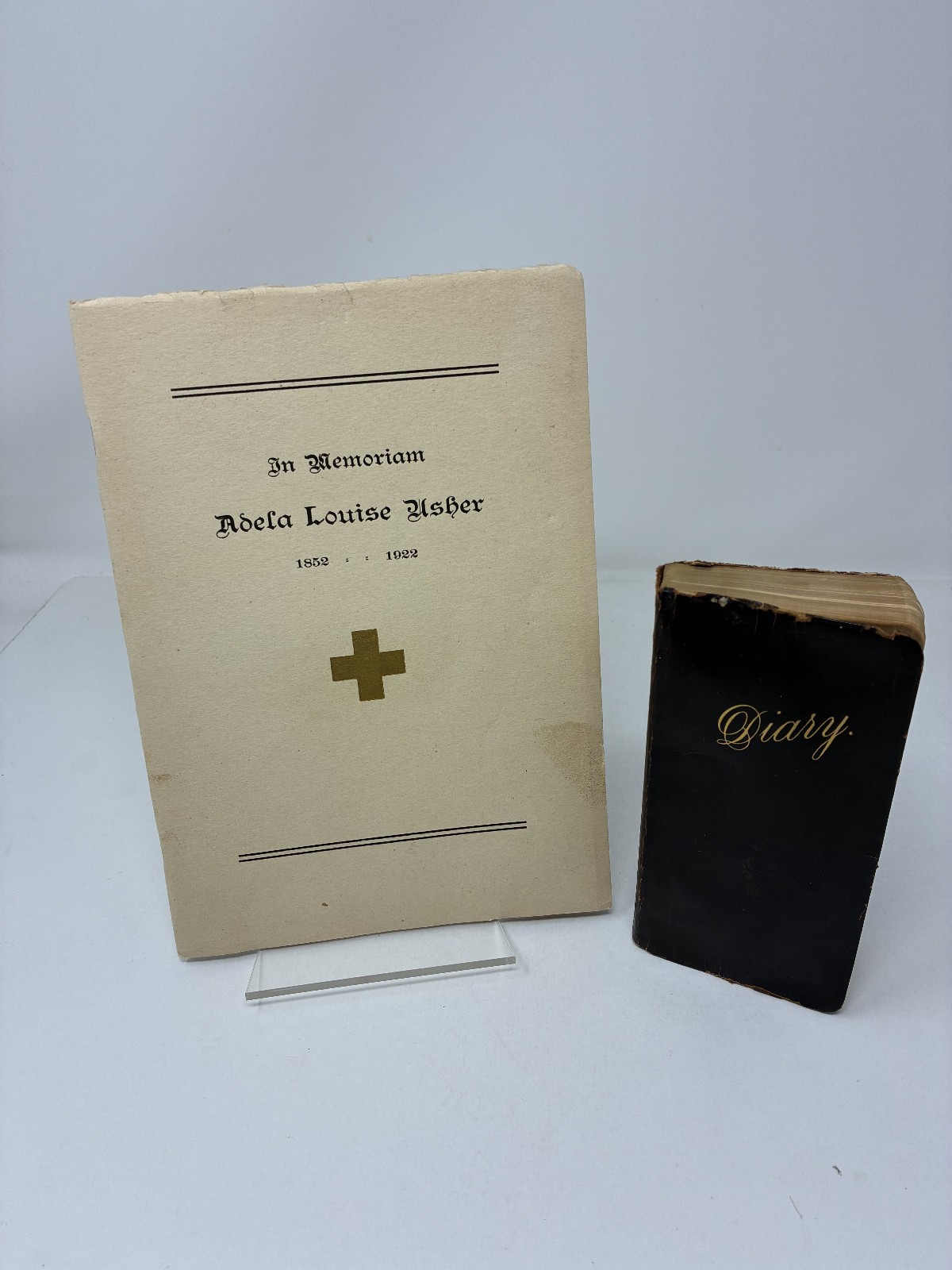 1900 Victorian Woman Wife & Mother Handwritten Diary with Her Life Memorial!