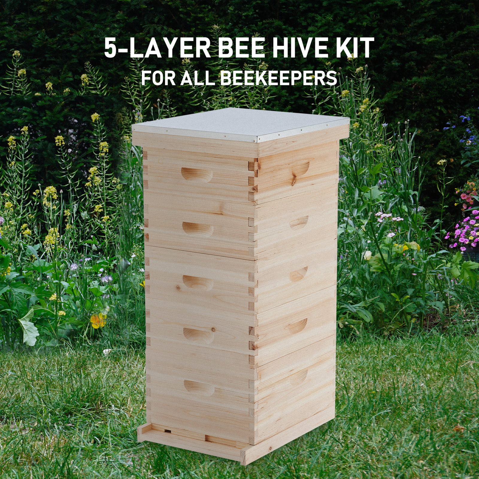 Langstroth 5-Layer Bee Hive Boxes Starter Kit Beehive for Beekeeping Supplies