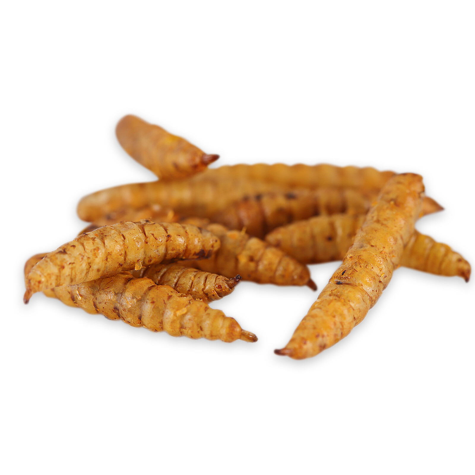 Dried Black Soldier Fly Larvae Mealworms for Chickens Fish Turtles Hen Birds LOT