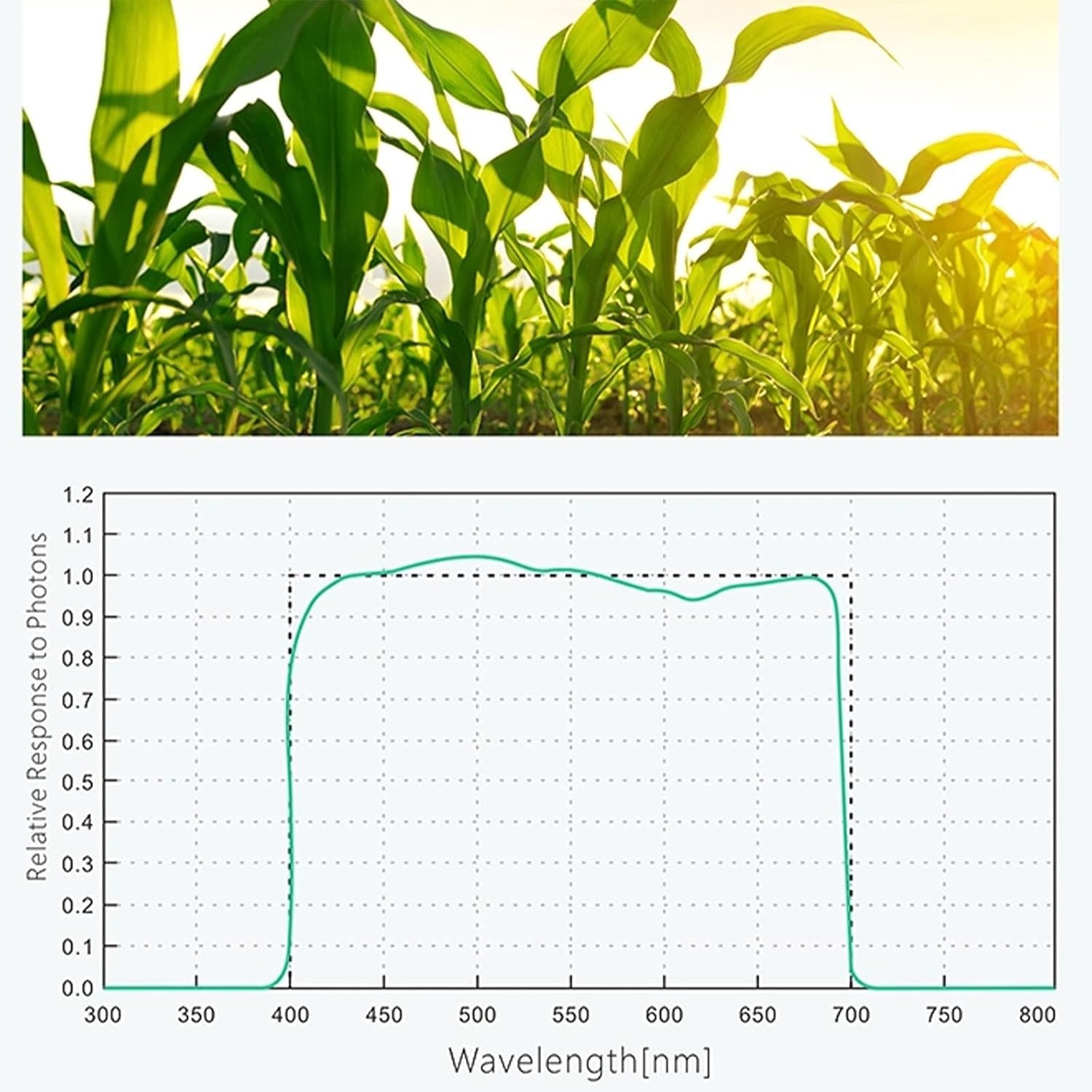Advanced Quantum Sensor PAR Meter (Micromoles), Measure Light Intensity AMT312