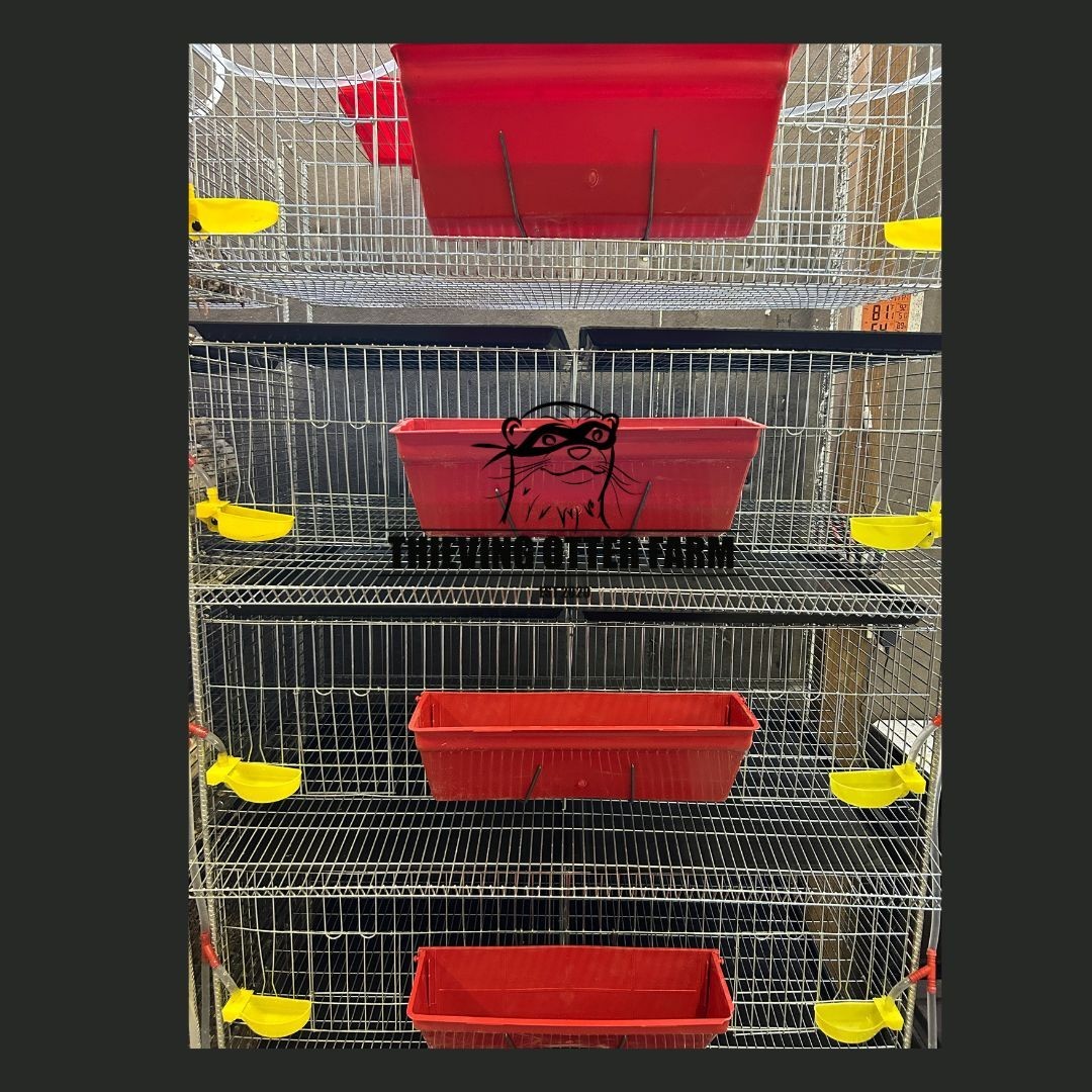 TOF Complete Coturnix Quail Cage System -- Just add quail!