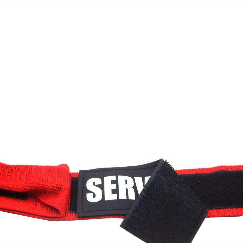 SERVICE DOG Collar Harness with Handle and Reflective Patches + 3 Free ADA Cards