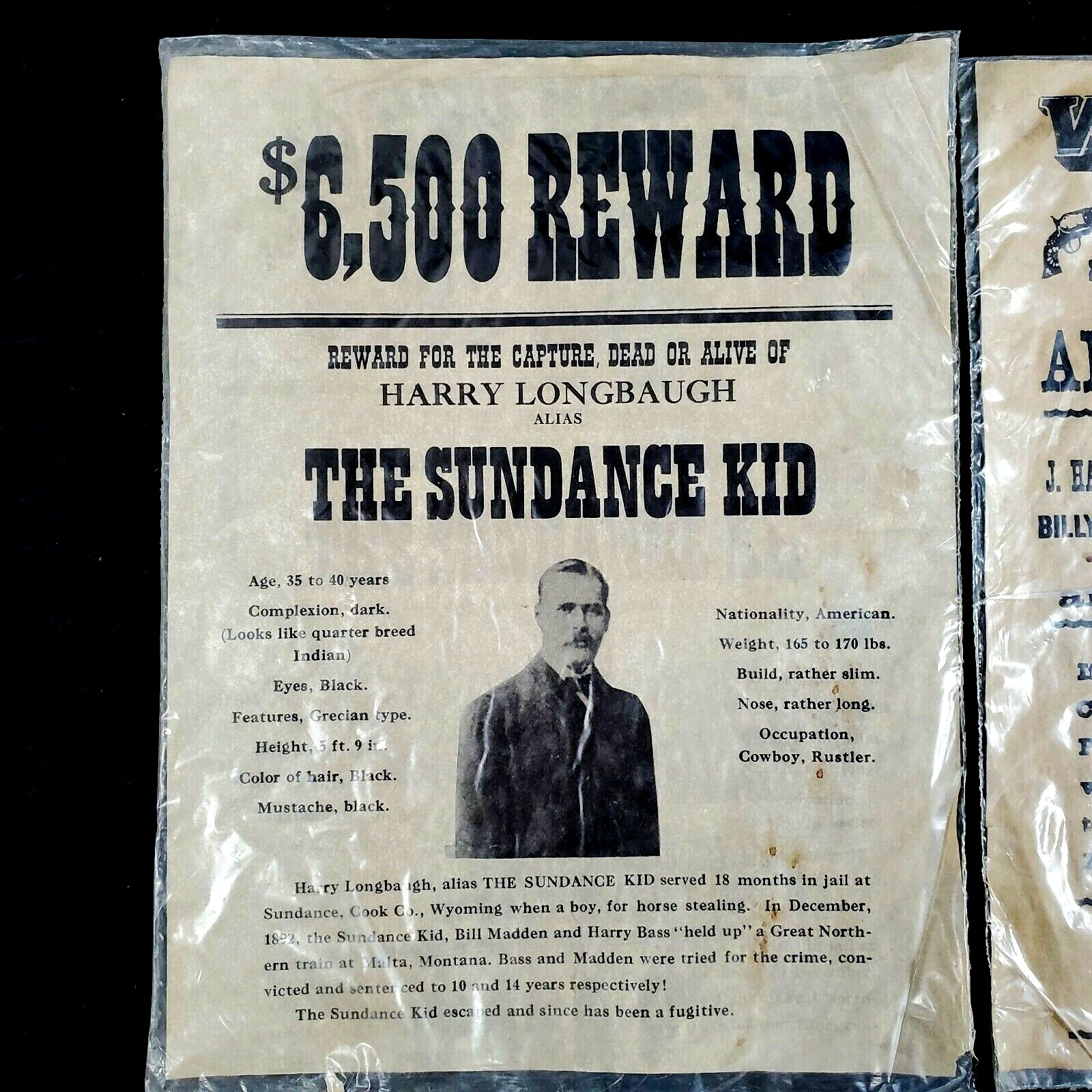 Sundance Kid Wanted Poster and Warning to Thieves Poster Reproductions