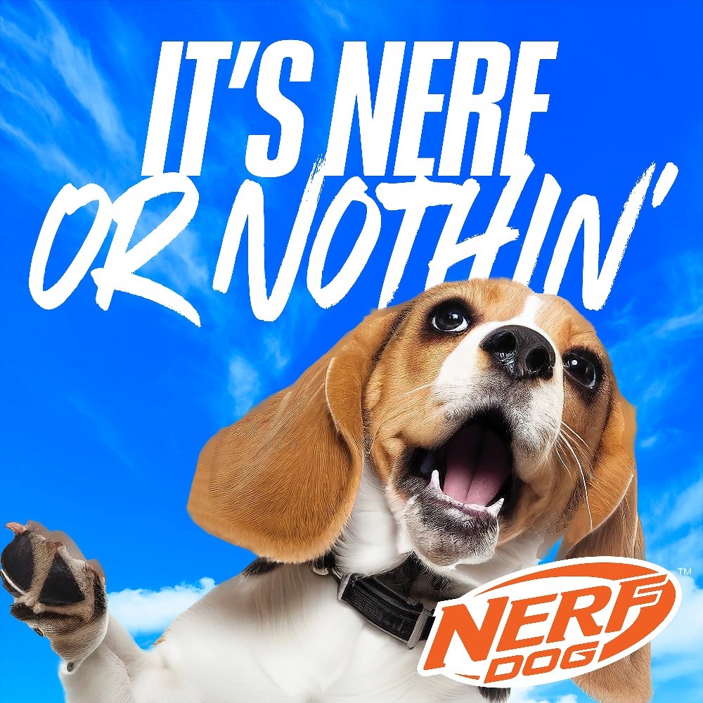 Nerf Dog Tennis Ball Blaster Dog Toy with 4 Balls, 16 inch