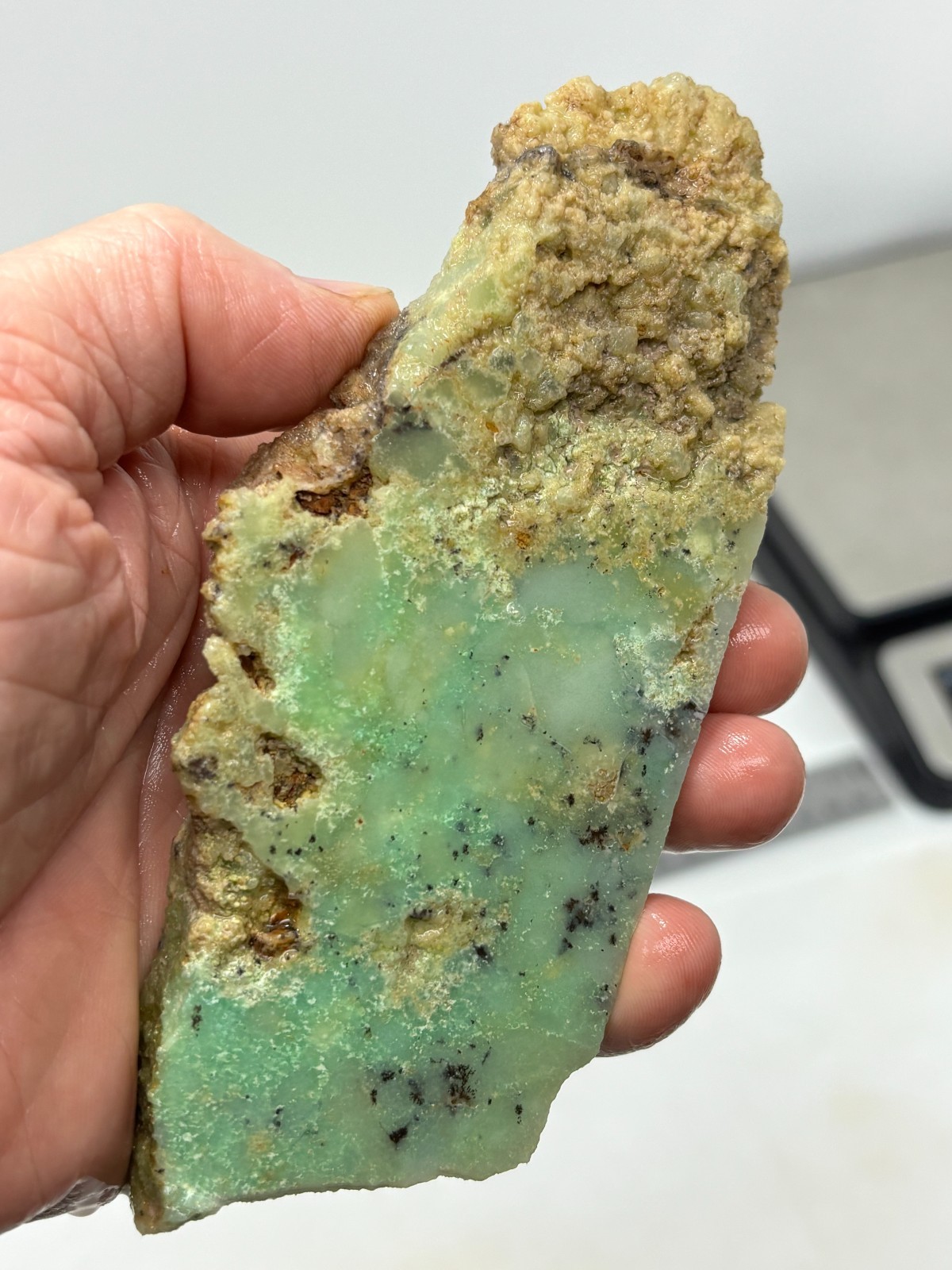 Indo Dendritic Chrysoprase Slab Cabbing Lapidary Collecting Combo Ship Avail