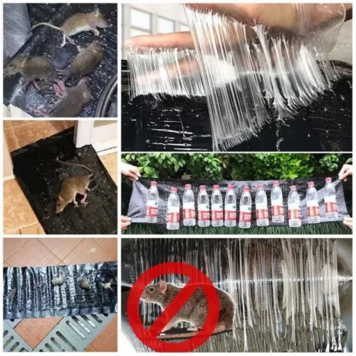 3 Pack Large Mice Mouse Glue Traps Rodent Catcher Rat Board Indoor Super Sticky