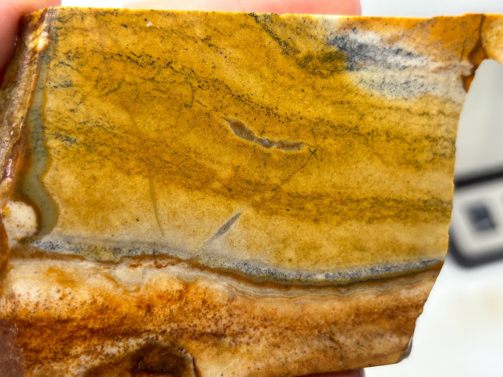 Disaster Peak Picture Jasper Slab Cabbing Lapidary Collecting Combo Ship Avail