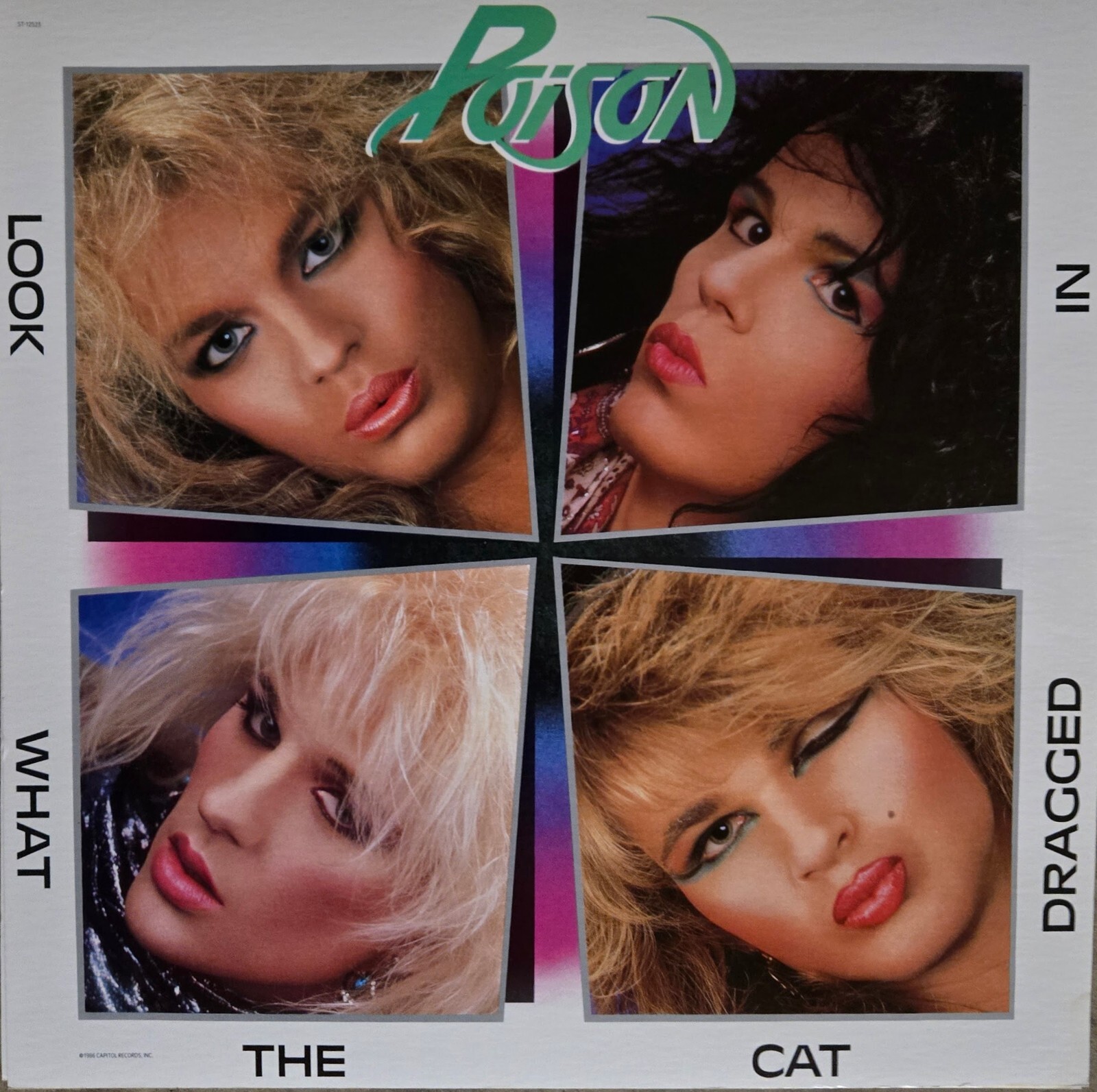 POISON "LOOK WHAT THE CAT DRAGGED IN" 1986 PROMO ALBUM FLAT Suitable For Framing