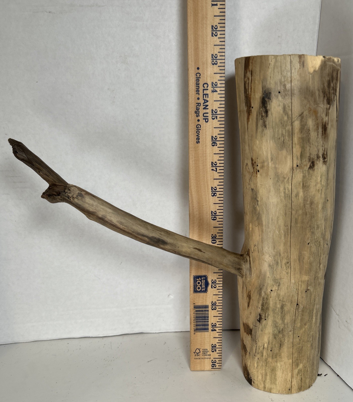 Driftwood¡ 2 Piece Set Cedar Taxidermy Beach Mountain Wedding 1 White Outside