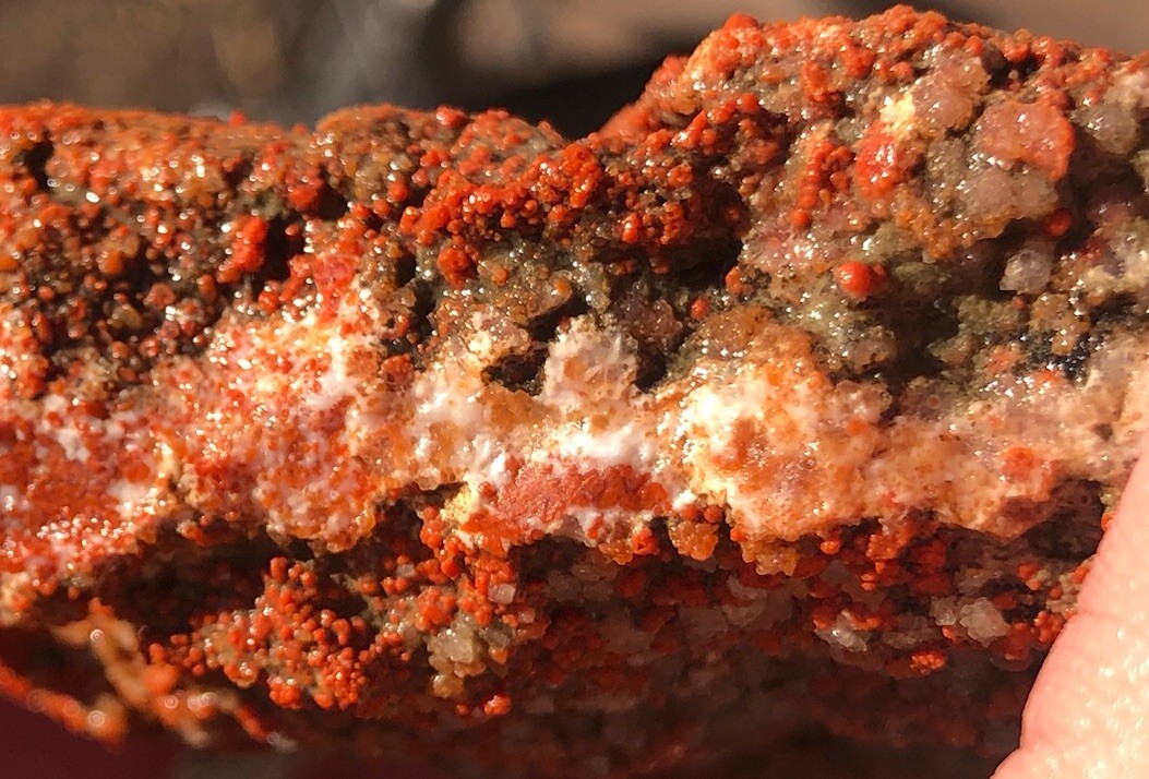 Utah Grape Agate 155g Rough Specimen Red Botryoidal Chalcedony Clear White