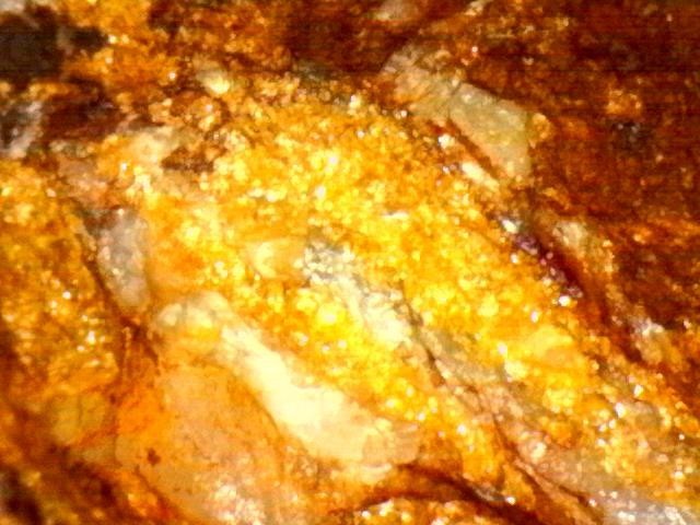 Gold Ore Specimen /Quality Visible Gold
