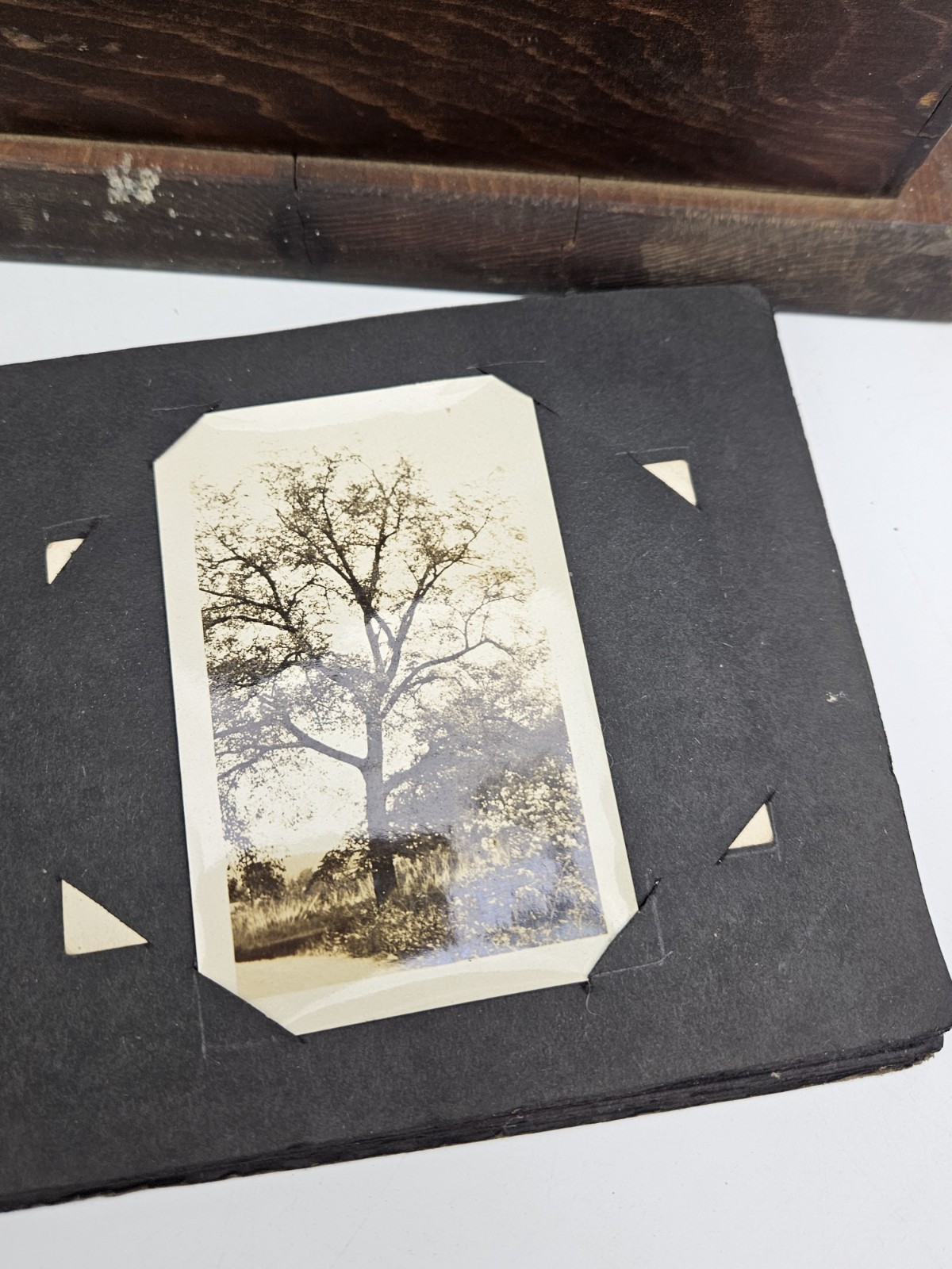 Antique Wooden Light Box For Developing Film Photo Developer Vintage Darkroom