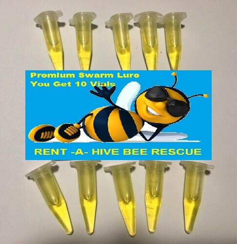 SWARM PRO Lure 10 pack honeybee scent beehive hive bait box trap beekeeper USA.