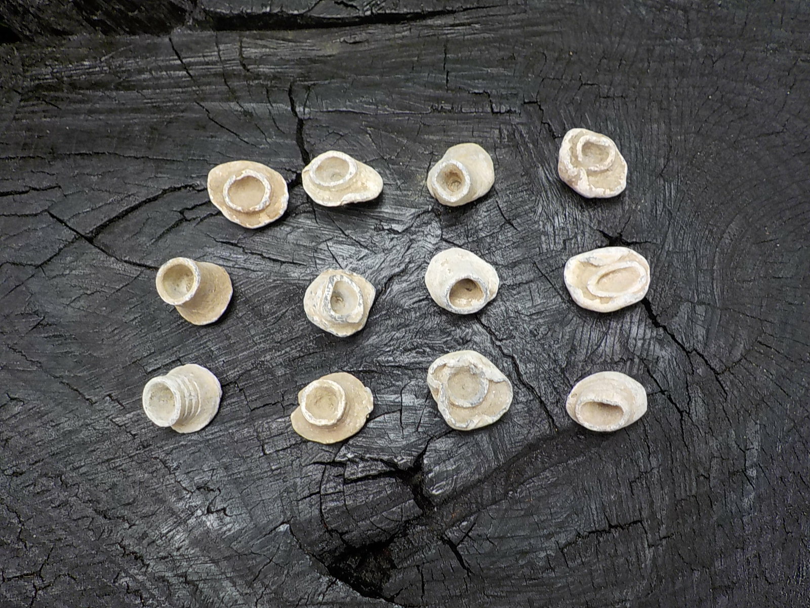 Old Rare Vintage Civil War Miniball Direct Hit Recovered in Appomattox Virginia