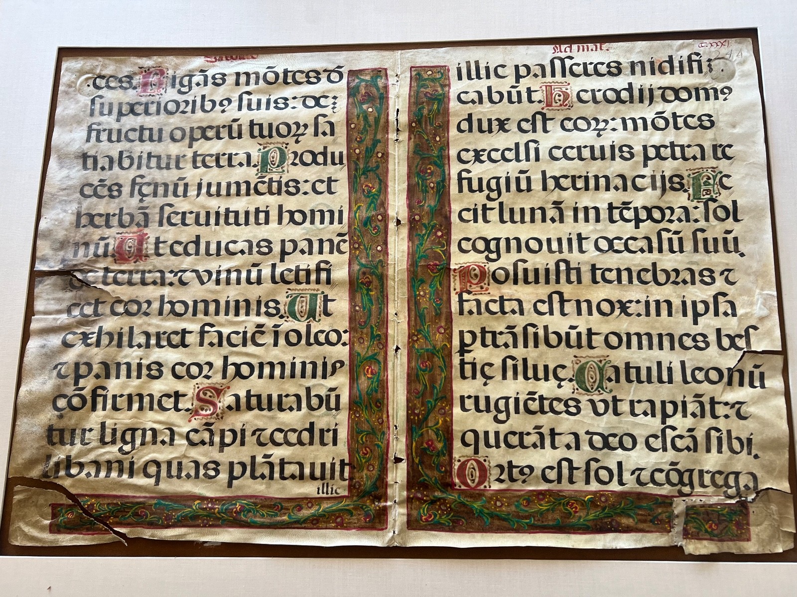 Rare Museum Large 15th century Illuminated Manuscript Leaf on Parchment