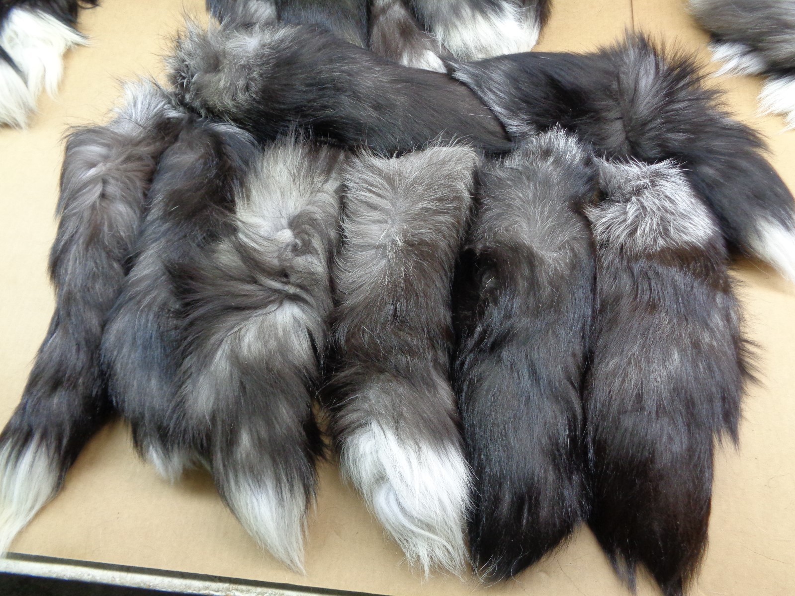 1 XXL Tanned Silver Fox Tail/Crafts/100% USA Real Fur/Purse