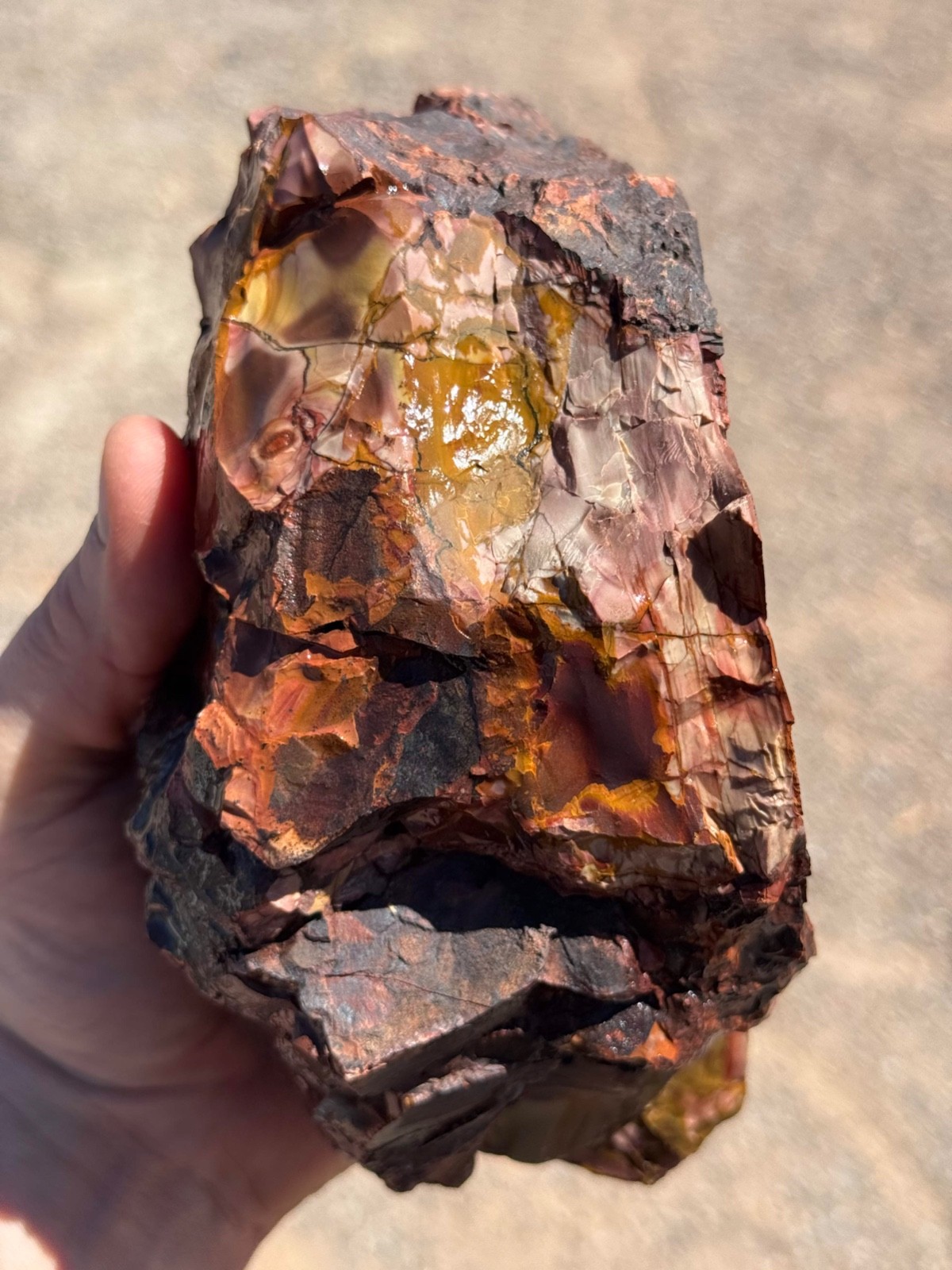 Dead Camel Jasper rough 21 pounds