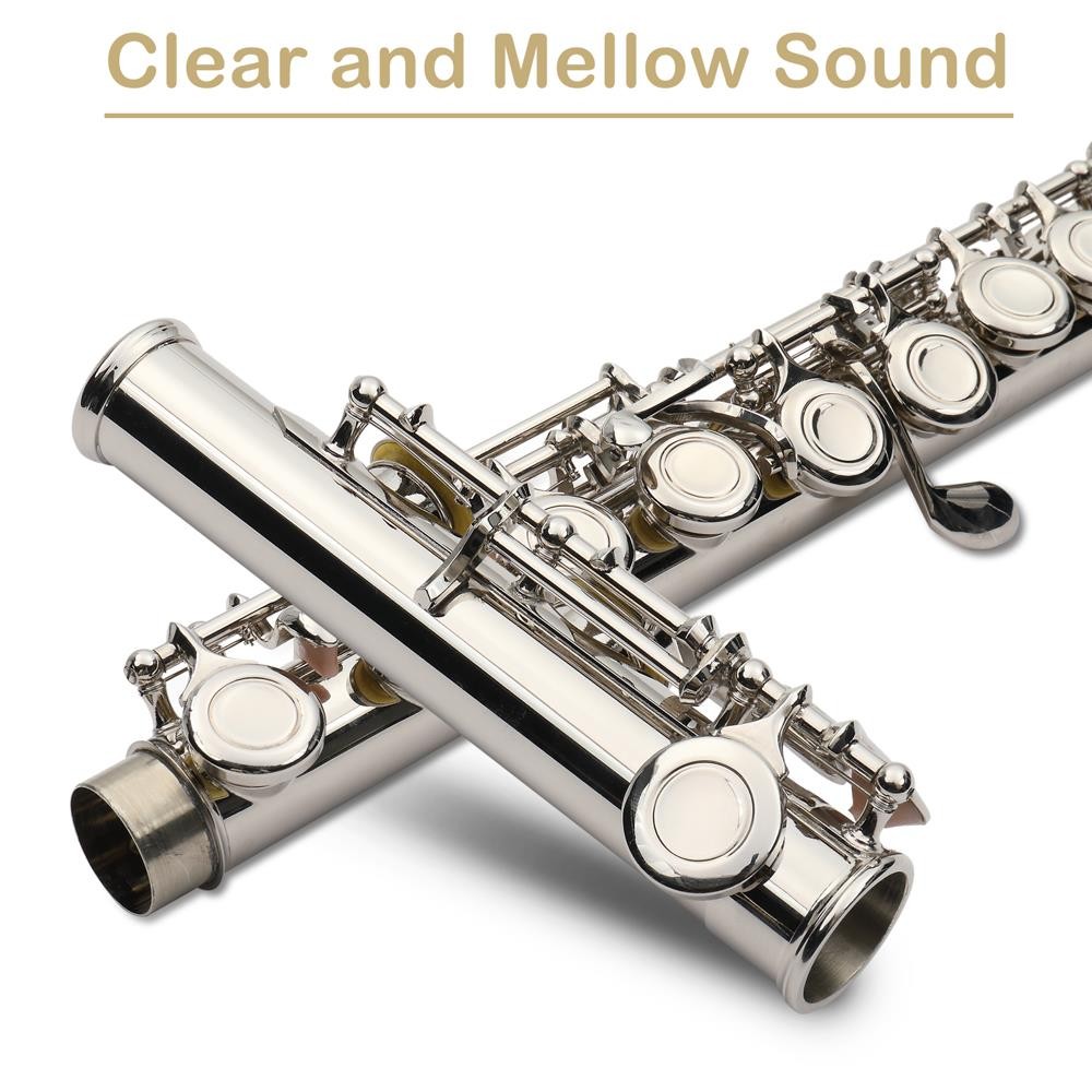 Ktaxon Professional Nickel Plated C Closed 16 Hole Concert Band Flute with E Key