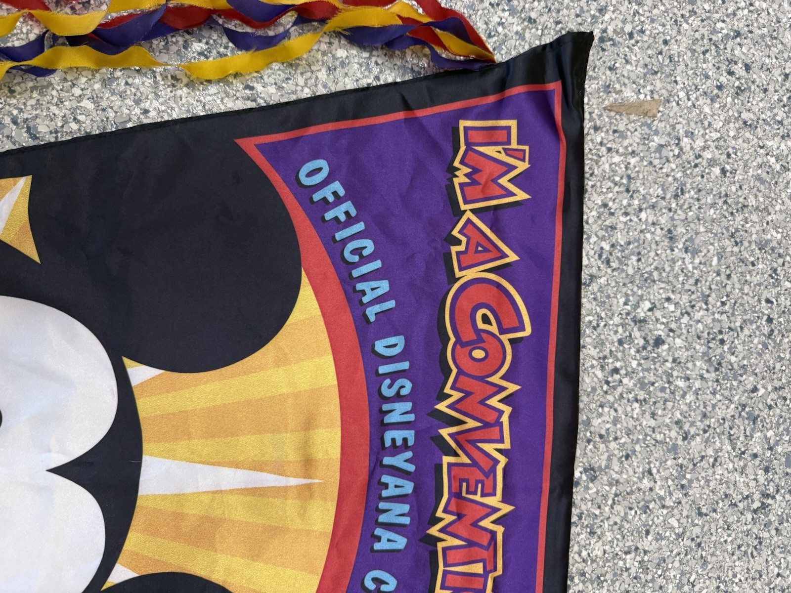 Disneyana Convention 90’s Large Flag Pennant Banner Prop 27”x 39” Conventionear