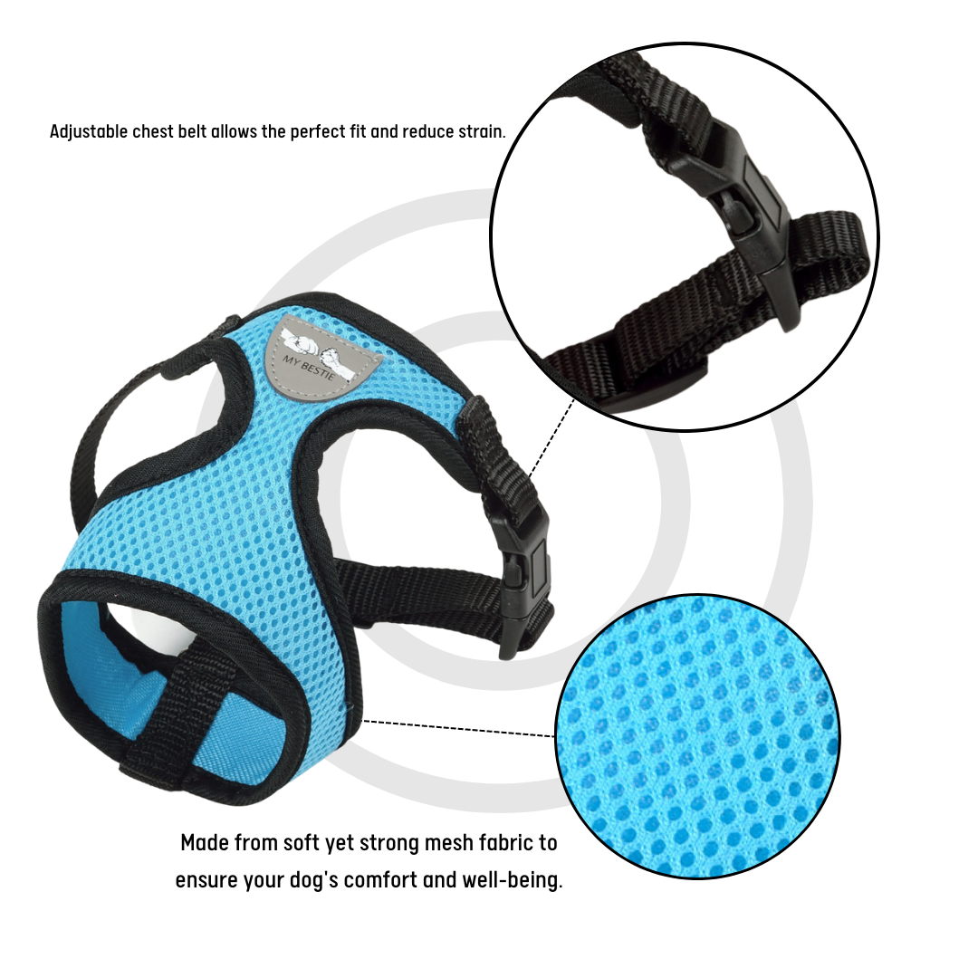 Breathable Harness, Leash & Collar Set (Blue) - Small