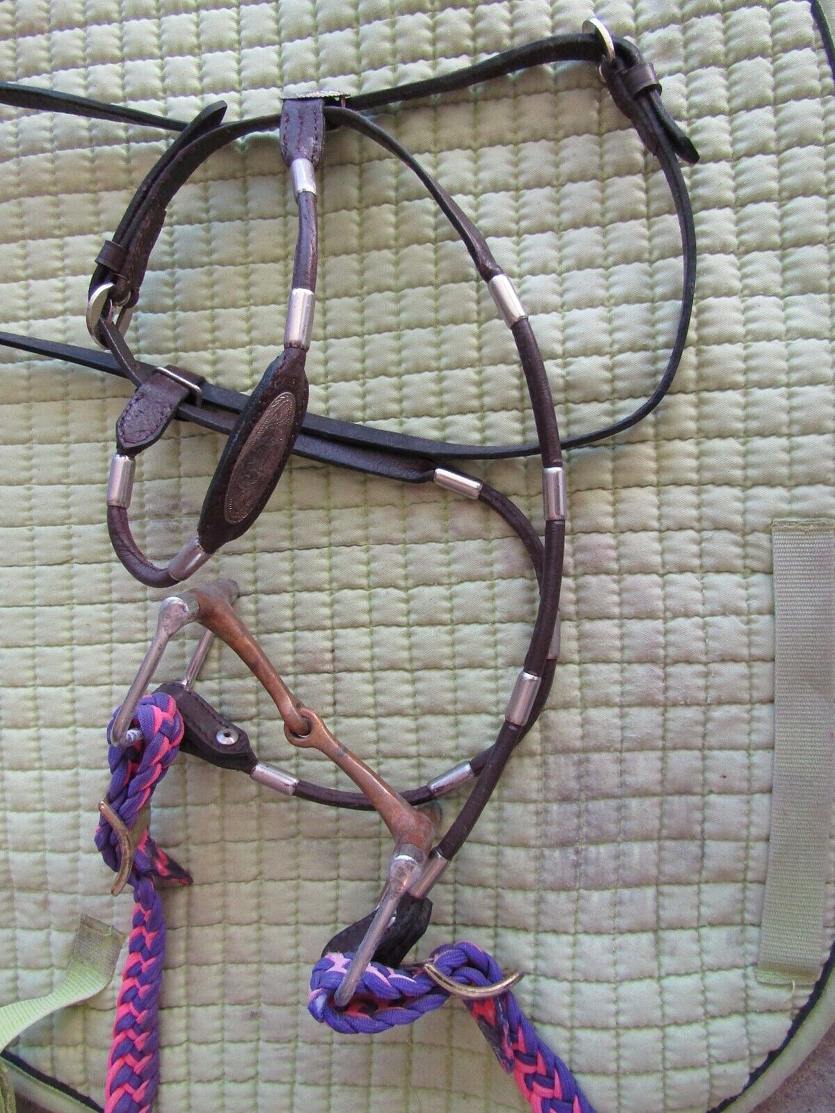 Horse riding and care equipment large lot !