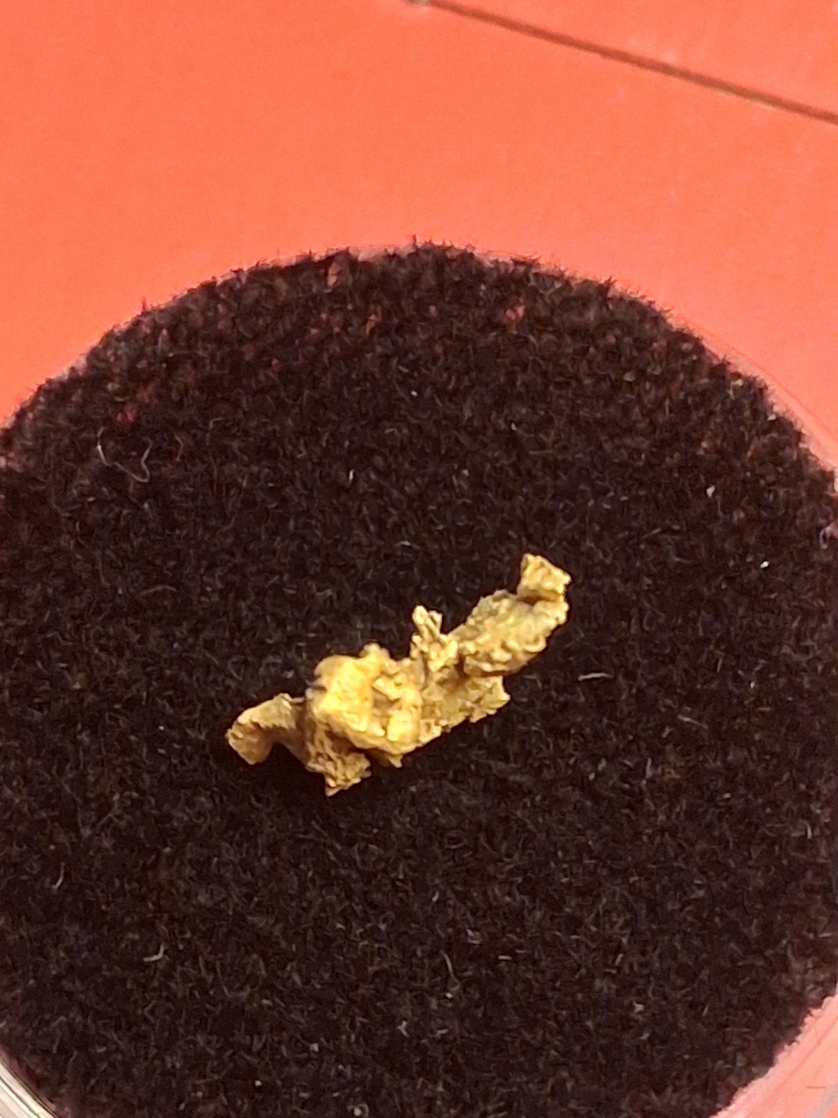 Crystalline Gold Nugget 0.294g from Kansas Twister Paydirt