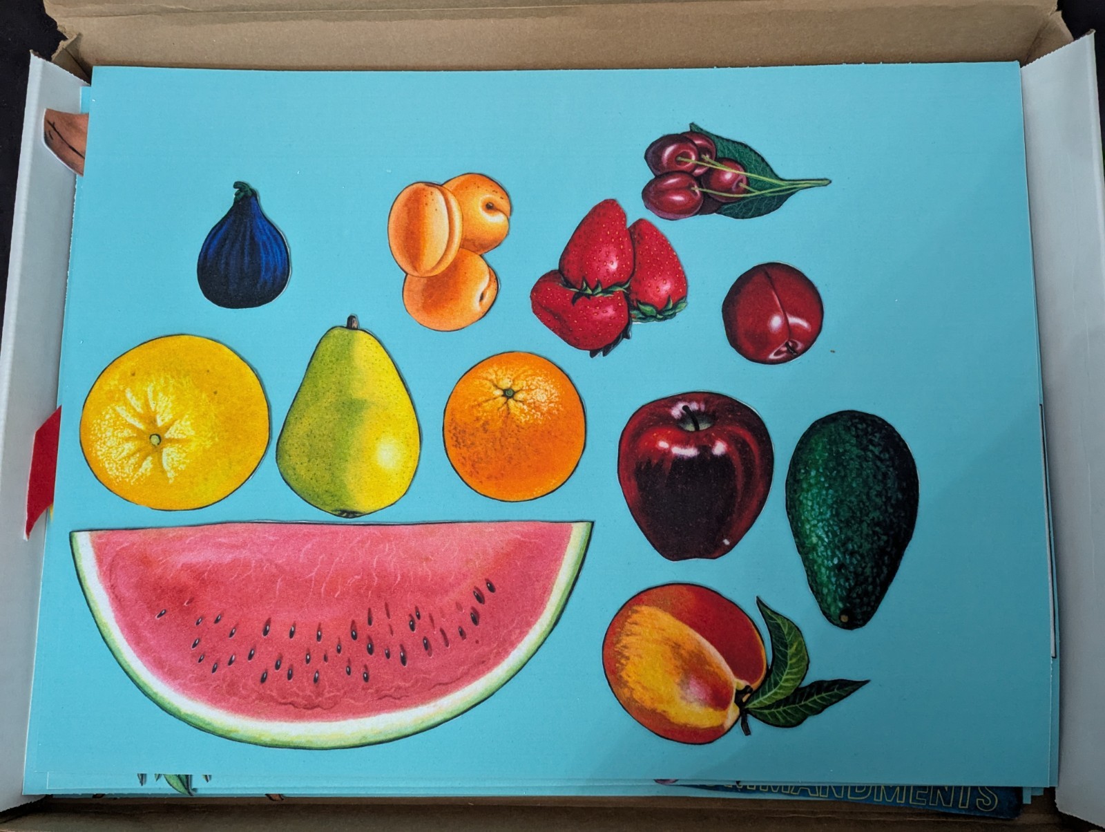 Betty Lukens Thru Bible in Felt Two Ways, Christian Armor, Trees, Fruit OfSpirit