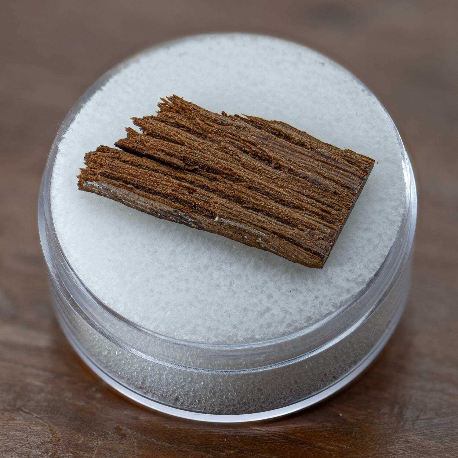 Old Ironsides USS Constitution Hull Fragment