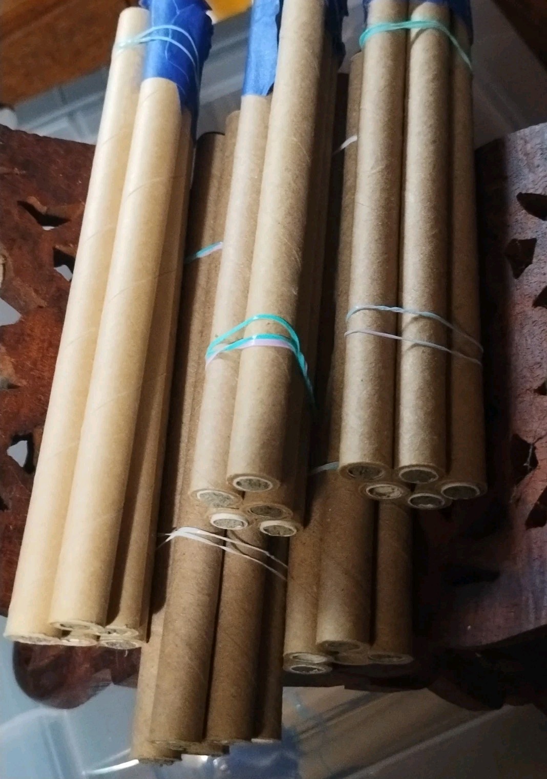 GARDENER GIFT! 5 Tubes LIVE 2025 BLUE ORCHARD MASON BEES COCOONS Spring Emerge