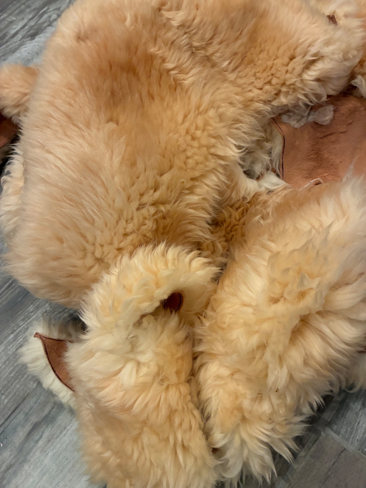 ½ LB Genuine Sheepskin Shearling Scrap Pieces Craft Fur Wool Leather DIY