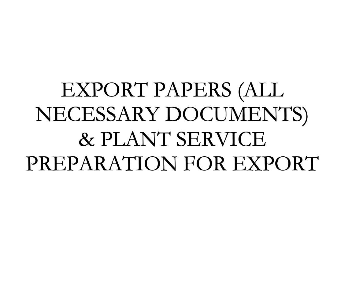 EXPORT DOCUMENTATION & PLANTS PREPARATION FOR EXPORT
