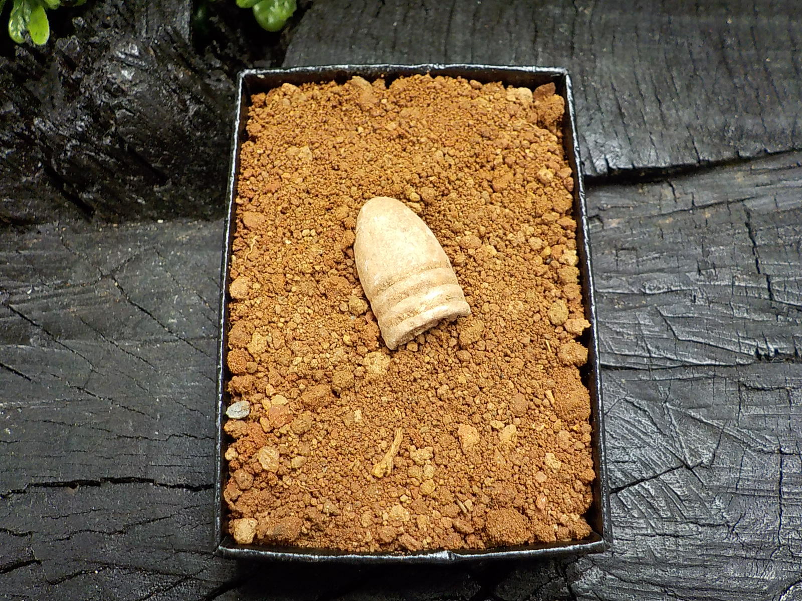 Old Rare Vintage Civil War Miniball in Appomattox Virginia Confederate Camp Soil