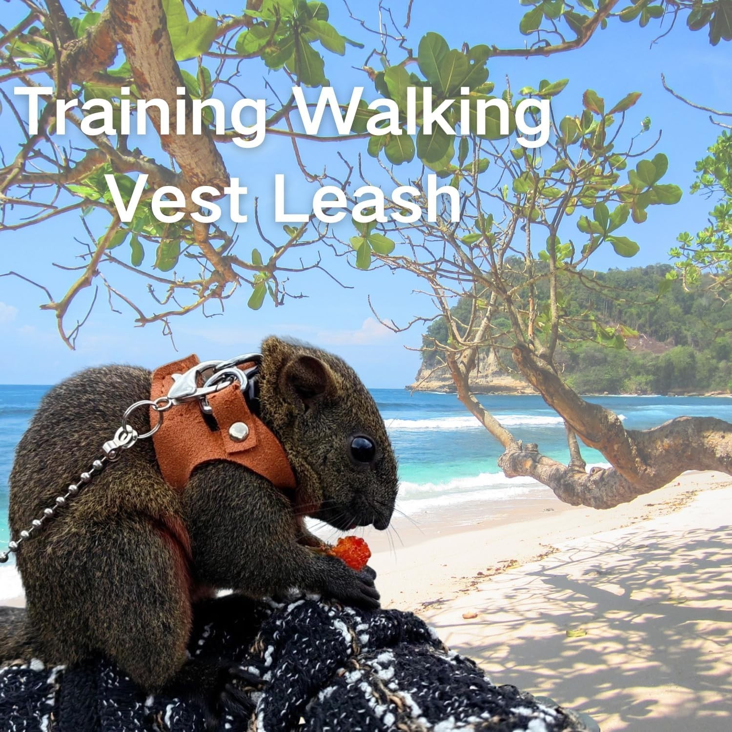 3 Pack Squirrel Harness and Lesh Set Adjustable Leather and Traction Rope Strap